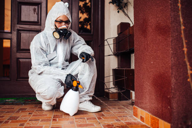 Reliable Wasp Removal contractor in Sterlington, LA by Show Me Pest Control